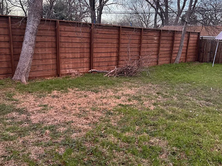2203 Tolosa Dr — Photo 19