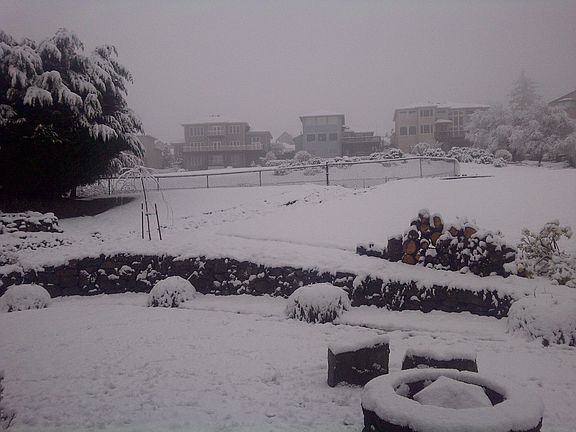 quiet day in the back yard