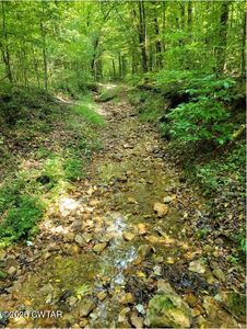 0 Sulphur Ck Rd, Big Sandy, TN, 38221