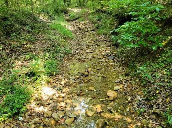 0 Sulphur Ck Rd, Big Sandy, TN 38221