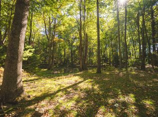 Gator Mountain Rd, Indian Valley, VA 24105