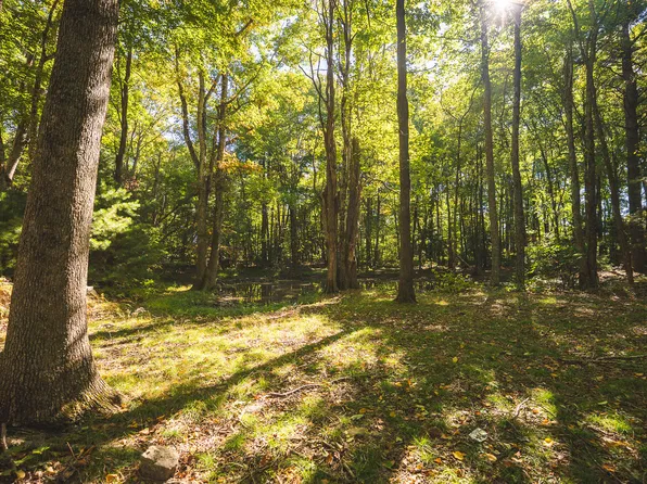 Gator Mountain Rd, Indian Valley, VA 24105