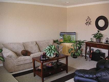 2nd image of 6693 Spruce Ln