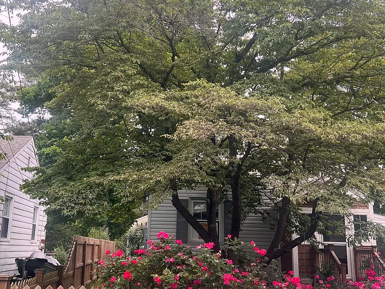508 Lenox Ave — Photo 2