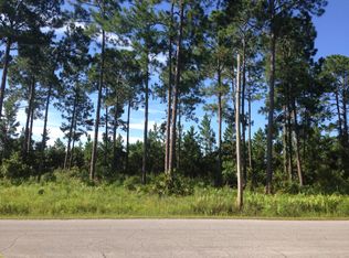 Panther Rd, Astor, FL 32102