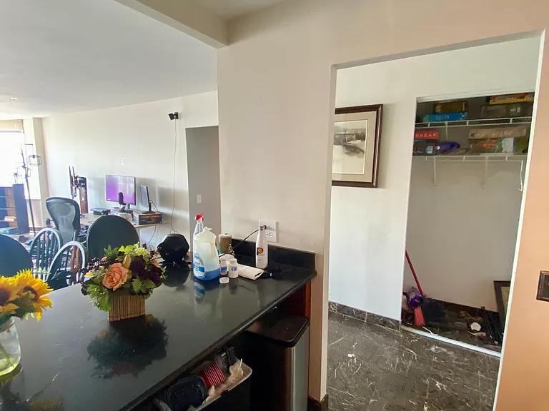 525 W Hawthorne Pl #2105 — Photo 3