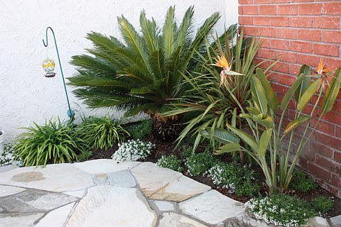Front Patio Planter