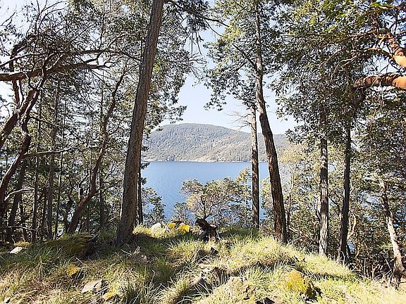 5th image of 206 Narrows West Rd
