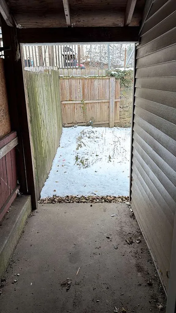 2 bed, 900 sqft, $1,350 — Photo 4