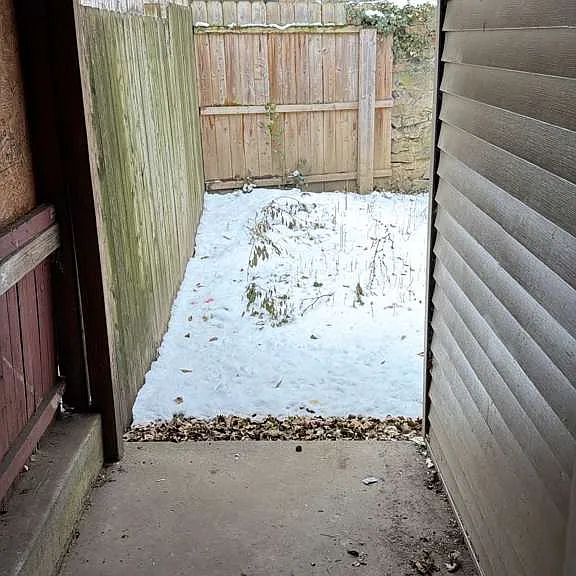 233 W Diamond St — Photo 4