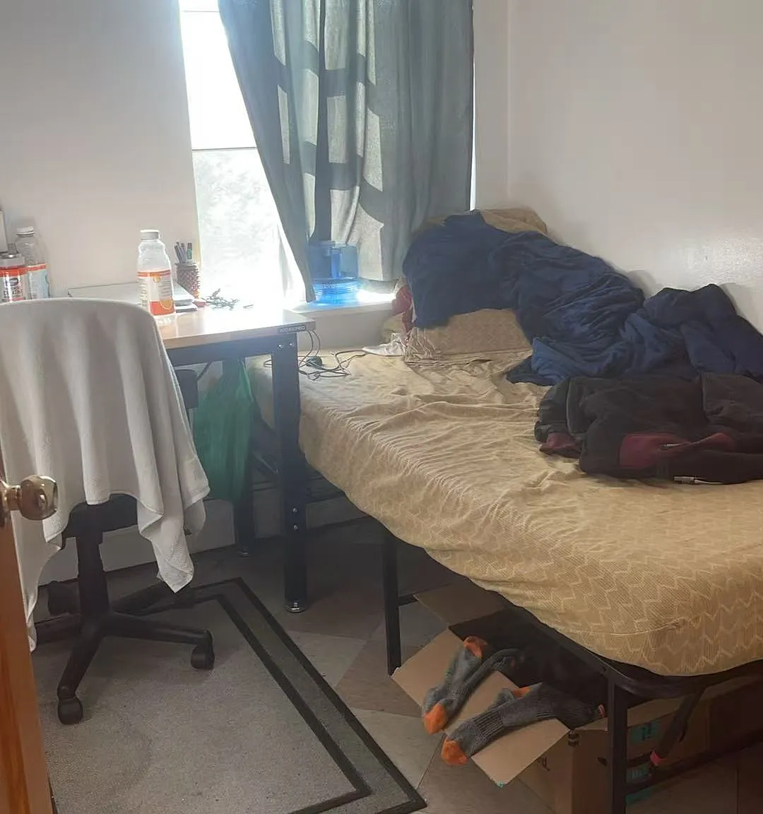 1 bed, $800 — Photo 2