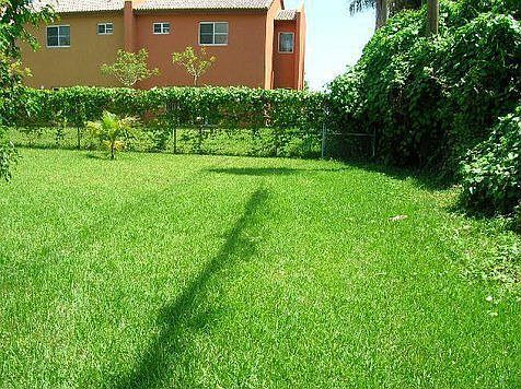 5th image of 691 SW 10th St