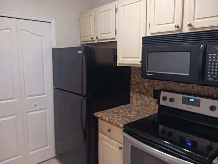 1408 Lake Shadow Cir #1105 — Photo 6