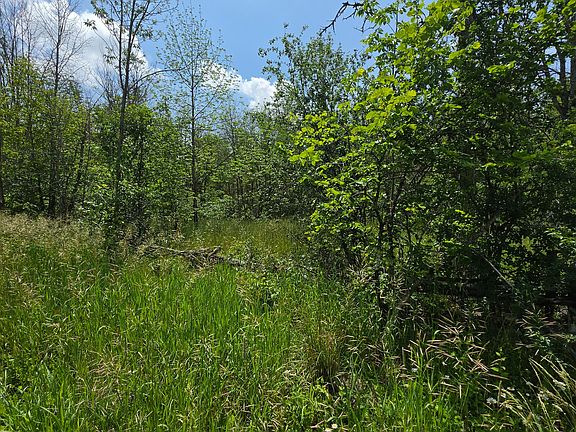 2nd image of 0 Schell Line