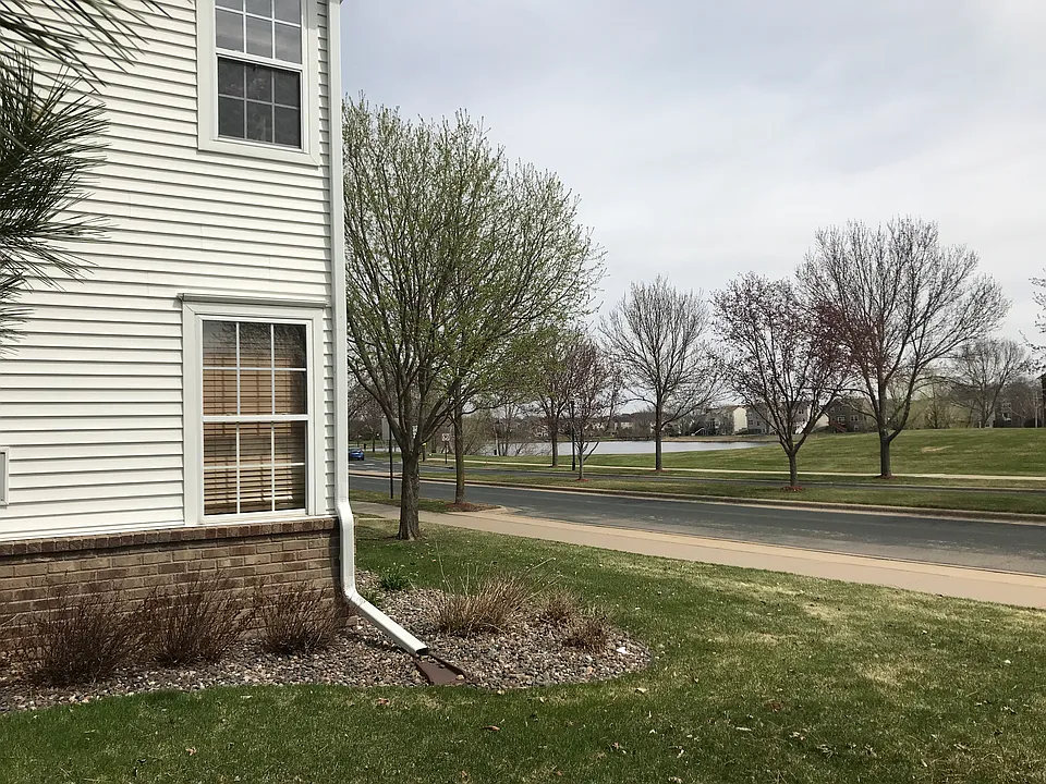 Pond across the street- 