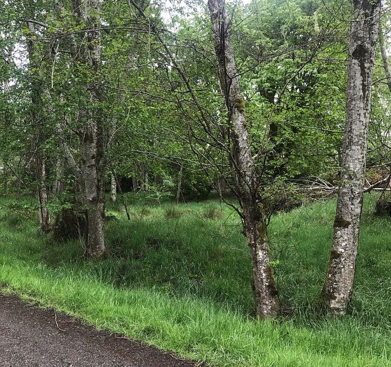 Level lot with slight slope to top of ridge. Gravel road in front. 