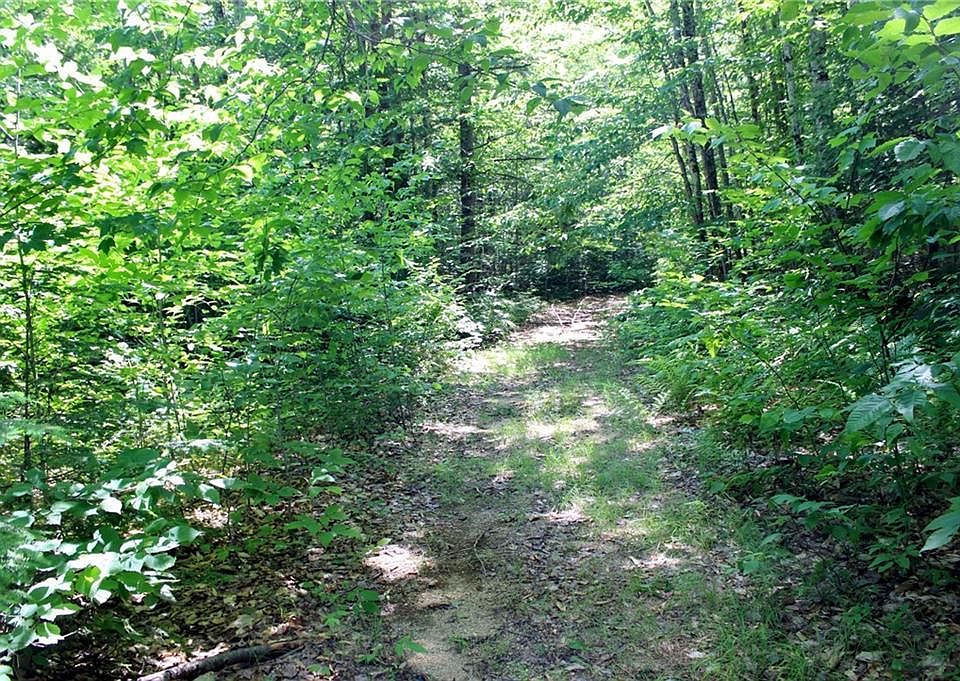 2nd image of 40 Hallelujah Lane