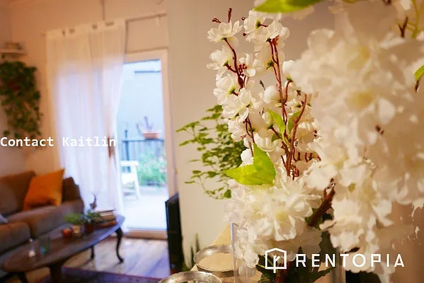Rented by Rentopia | media 25
