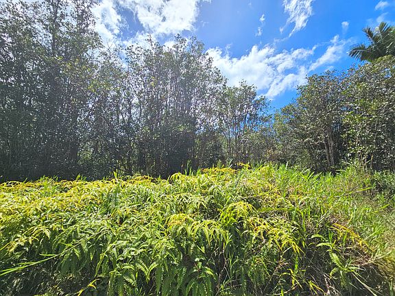 3rd image of Road 9 Koloa Maoli Lot 5364