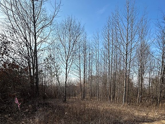 4th image of 806 Pettijohn Creek Rd