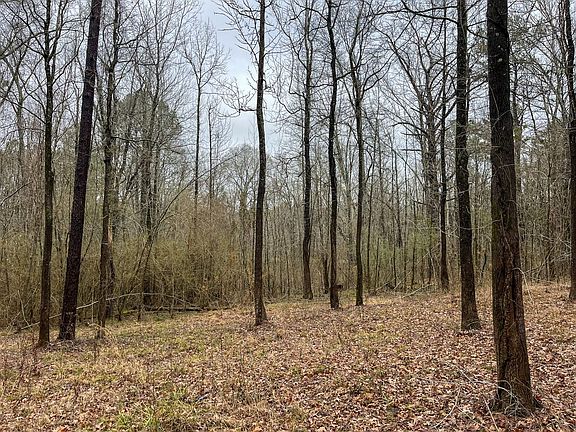 5th image of Forest Hill Rd