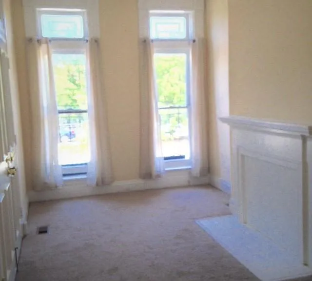 203 E Mount Royal Ave #1 — Photo 3