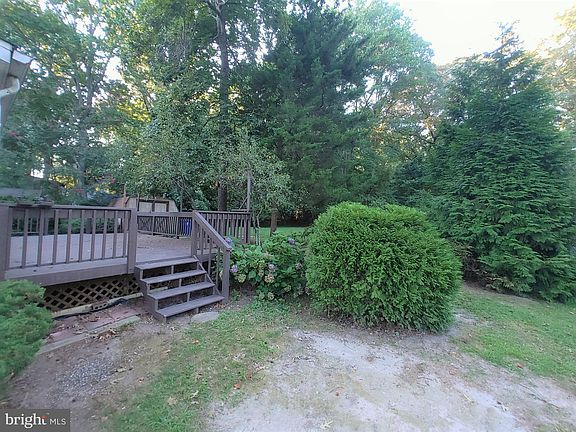 4th image of 33907 Woodland Cir