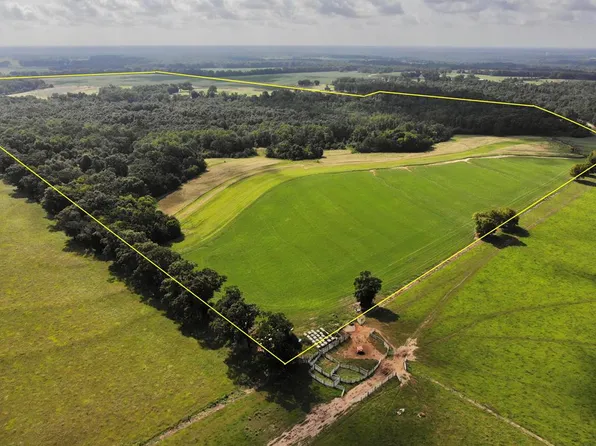 3185AC Goose Hollow Rd, Geneva, AL 36340
