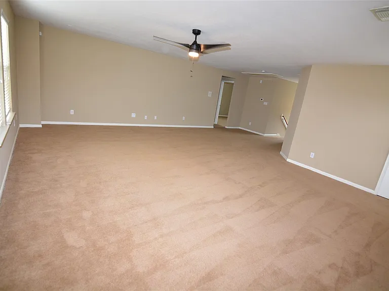 3903 Brighton Springs Ln — Photo 23