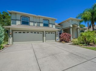 4842 Walnut Ridge Rd, Land O Lakes, FL 34638