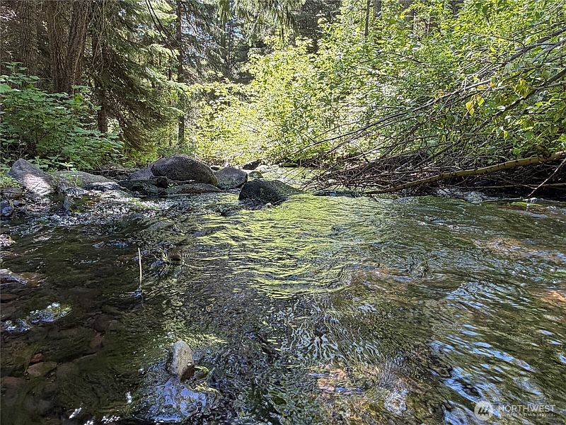 3rd image of 1524 Nasty Creek Road