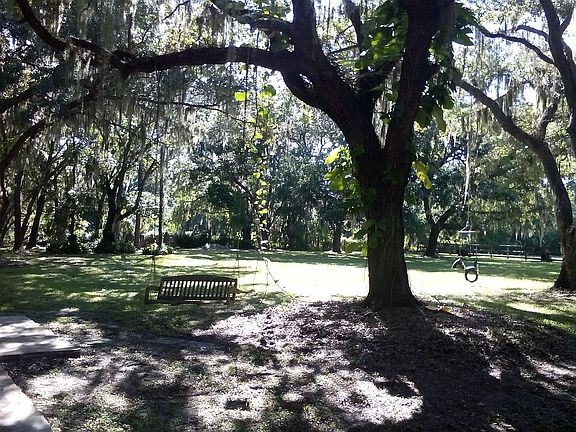 Front yard