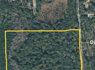 Browns Hammock Rd, Crescent City, FL 32112