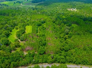 0 Joe Wells Rd, Buena Vista, GA 31803