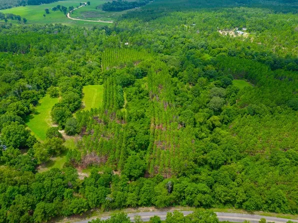 0 Joe Wells Rd, Buena Vista, GA 31803