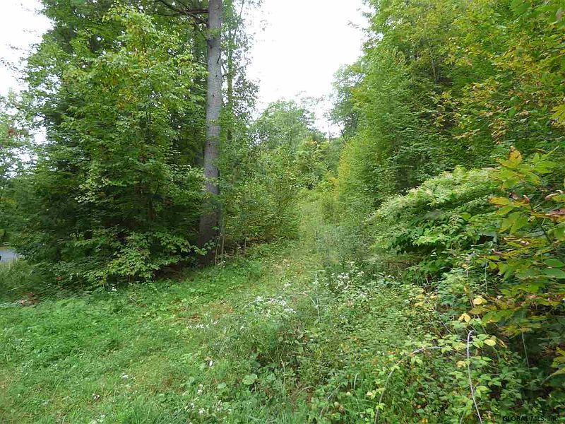 3rd image of 00 OLD WEST MOUNTAIN Road