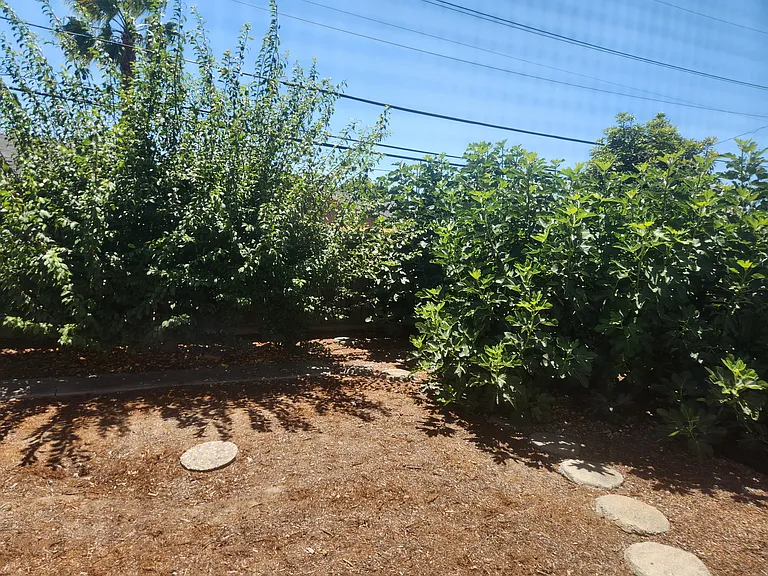 4916 Omar St — Photo 31