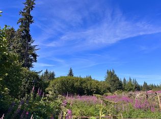 72278 Valleyside Ave, Anchor Point, AK 99556