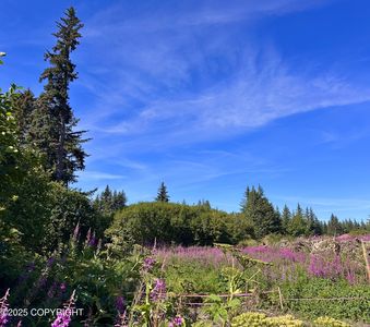 72278 Valleyside Ave, Anchor Point, AK, 99556