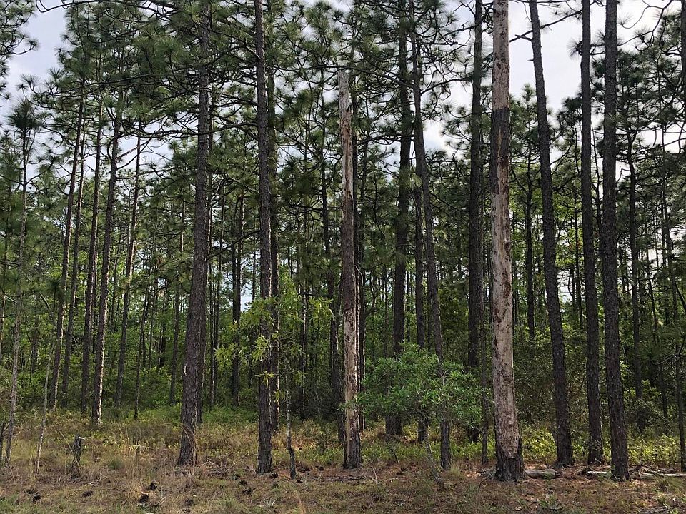 2nd image of Lot-4 Beaufort Road