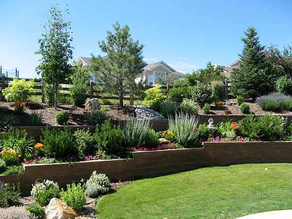 Part of the Backyard