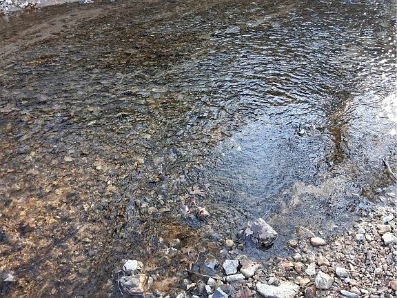 2nd image of TRACT 3 Puppy Creek Rd