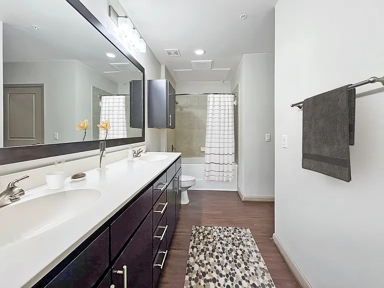 1bed 1bath 1bed 1bath