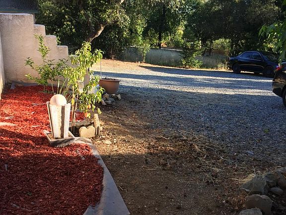 Yard in front of the premises