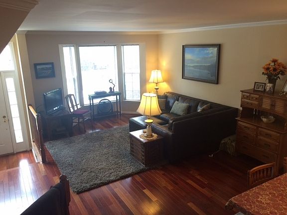 Sun-filled Living Room