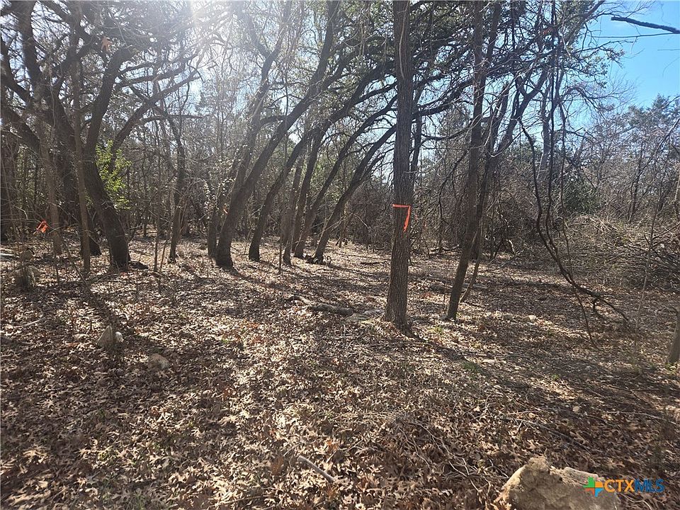 2nd image of Estate Trl