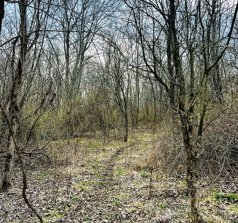 2nd image of 0 North St