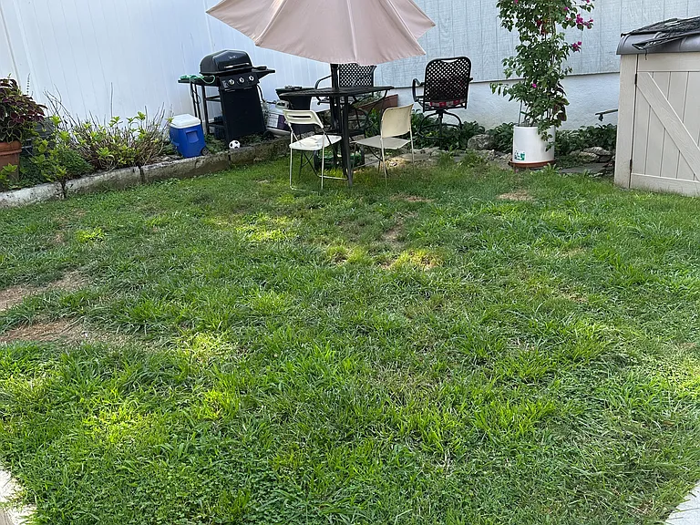 Backyard.