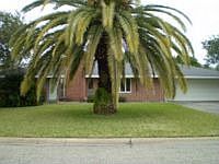 1st image of 1206 S Paisano Dr