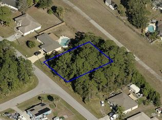 423 Town Rd SW, Palm Bay, FL 32908